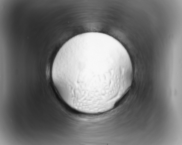 X0000088020021200706081450