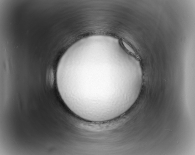 X0000088020022200706081450