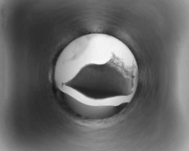 X0000088020023200706081450