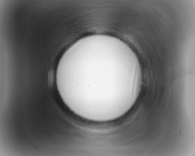 X0000088020024200706081450