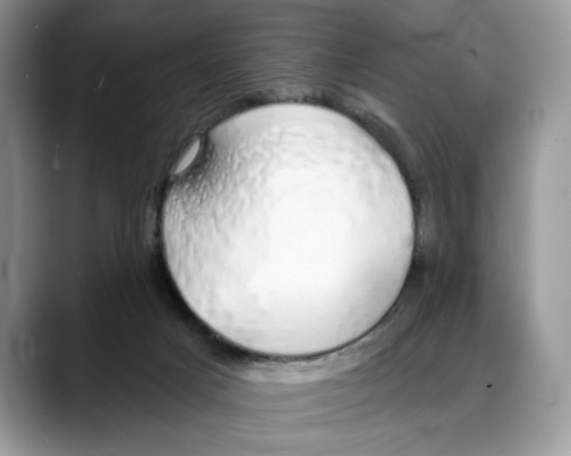 X0000088020025200706081450