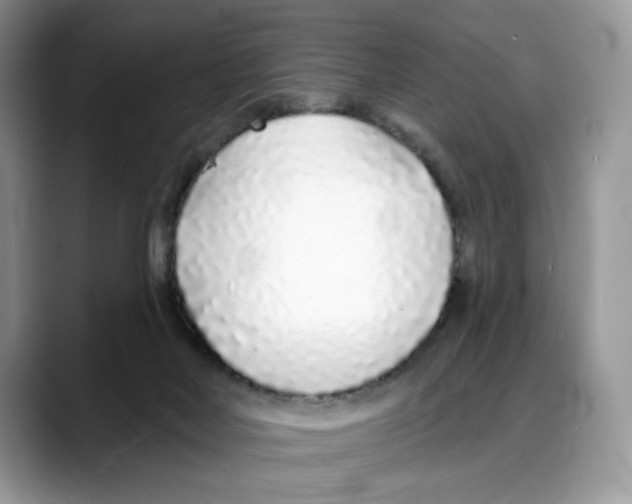 X0000088020026200706081450