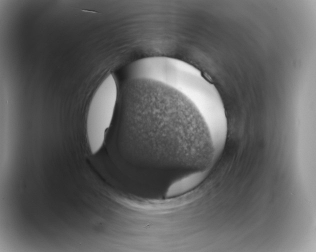 X0000088020027200706081450