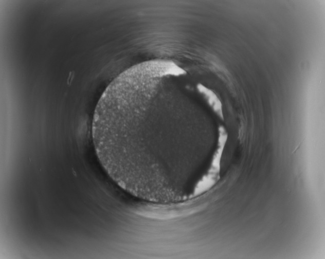 X0000088020029200706081450