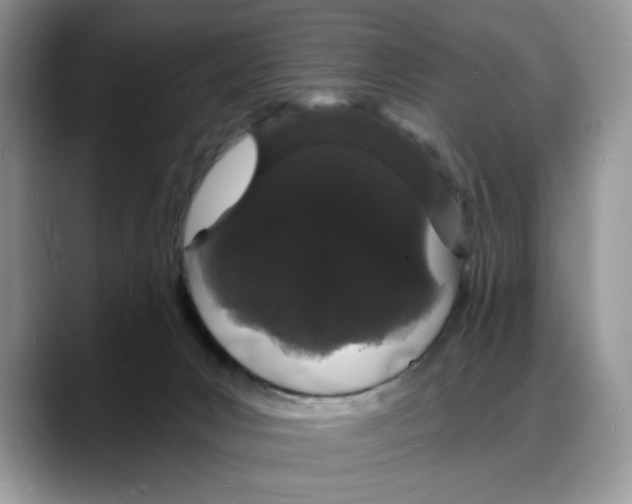 X0000088020031200706081450