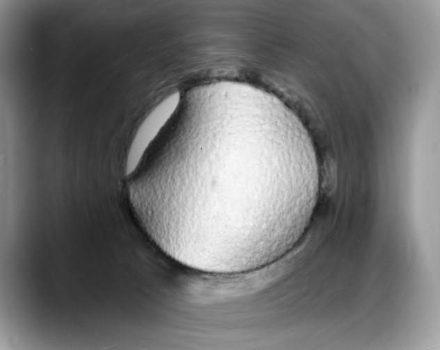 X0000088020033200706081450
