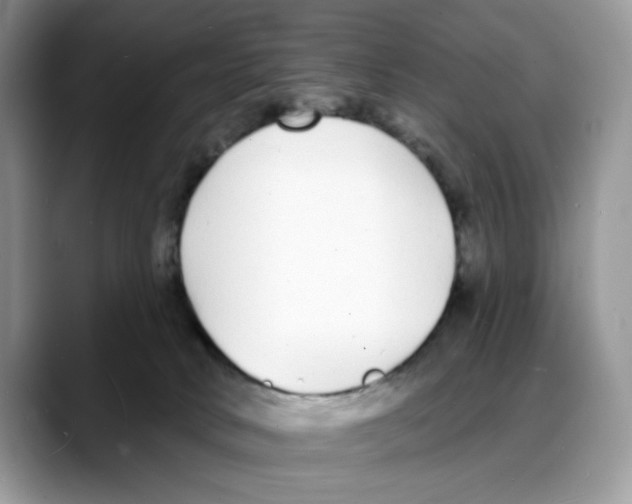 X0000088020034200706081450