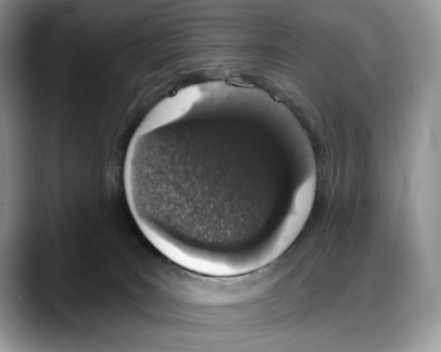 X0000088020035200706081450