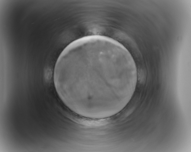 X0000088020036200706081450