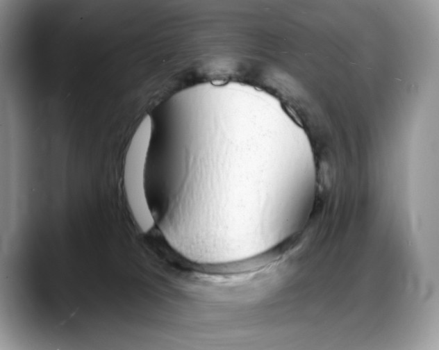 X0000088020037200706081450