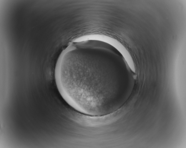 X0000088020039200706081450