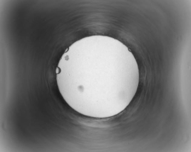 X0000088020040200706081450