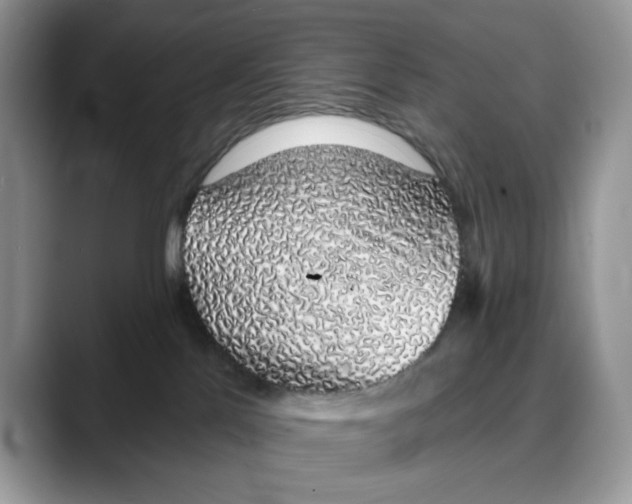 X0000088020041200706081450