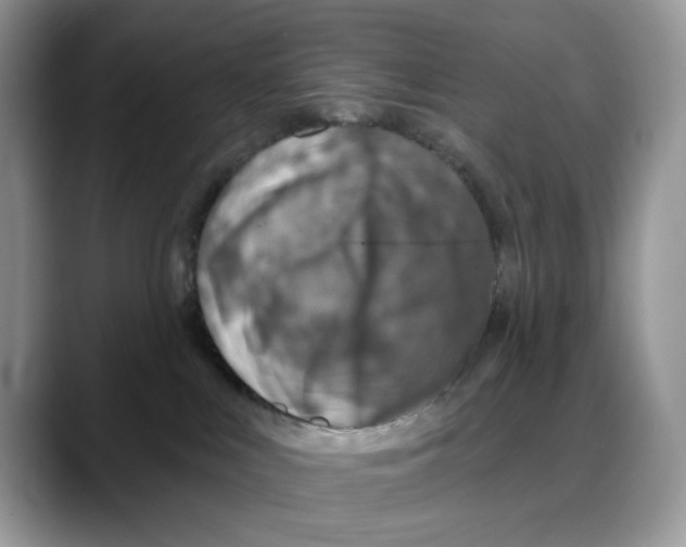 X0000088020043200706081450