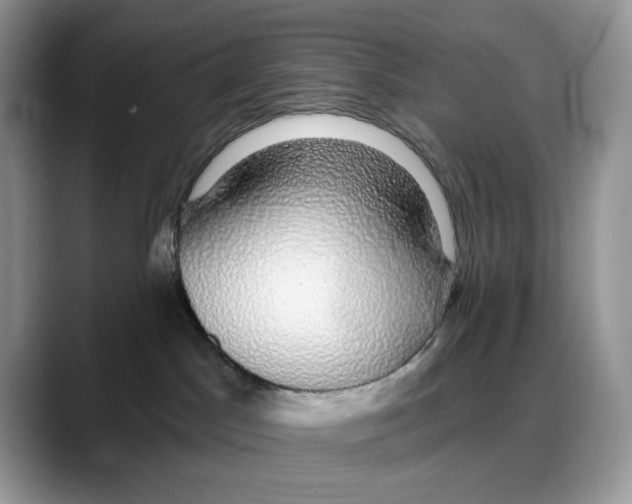 X0000088020045200706081450