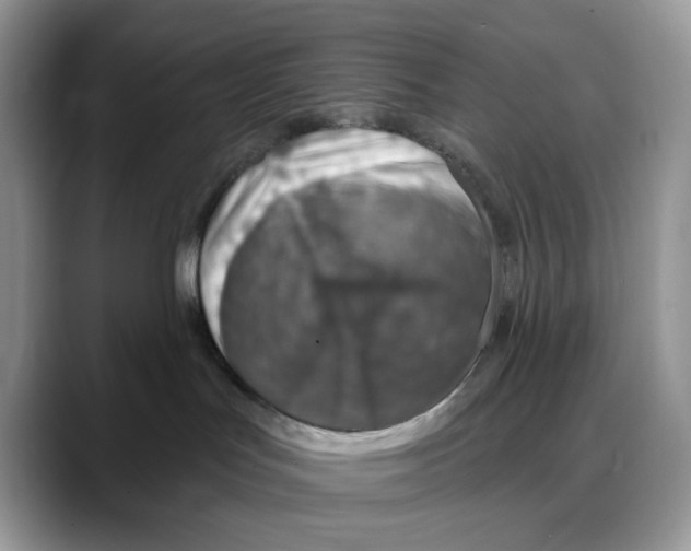 X0000088020047200706081450