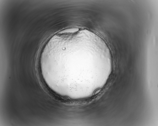 X0000088020049200706081449