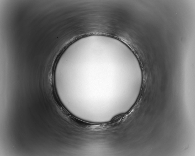 X0000088020050200706081449