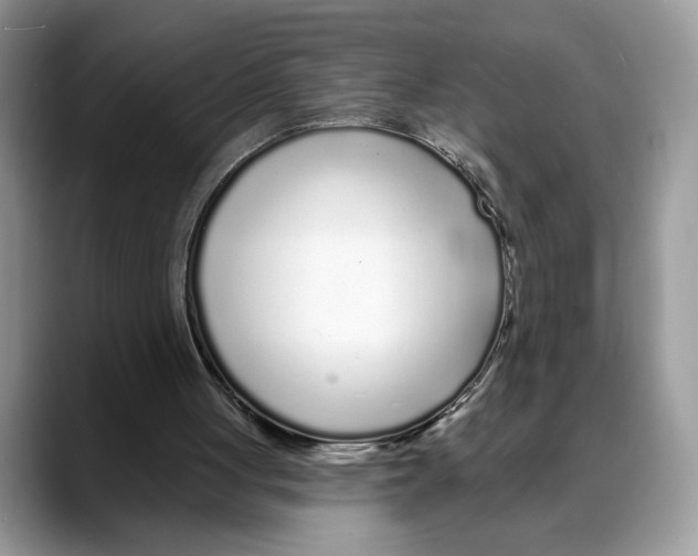 X0000088020051200706081449