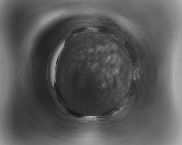 X0000088020052200706081449
