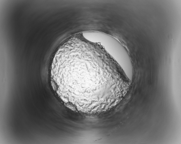 X0000088020053200706081449
