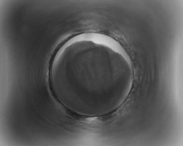 X0000088020054200706081449