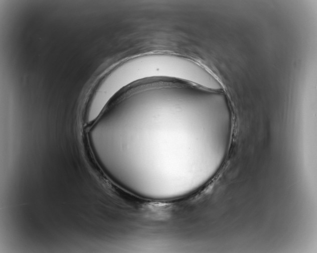 X0000088020055200706081449