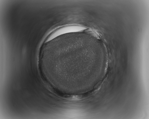 X0000088020056200706081449
