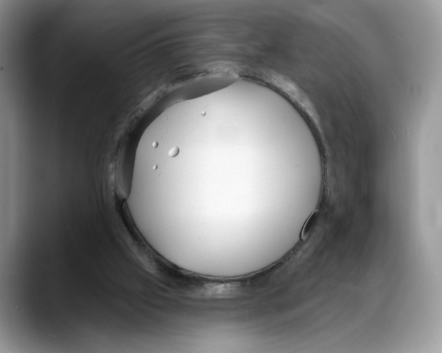 X0000088020057200706081449
