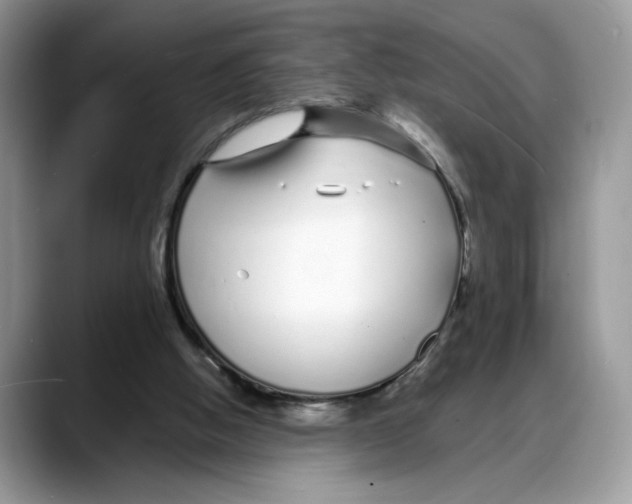 X0000088020058200706081449