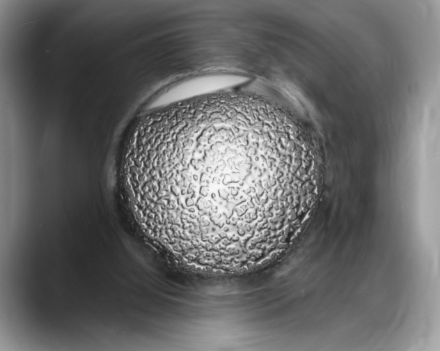 X0000088020060200706081449
