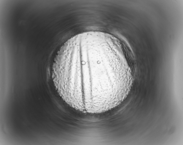 X0000088020061200706081449