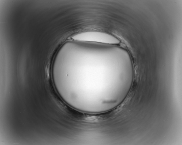 X0000088020062200706081449