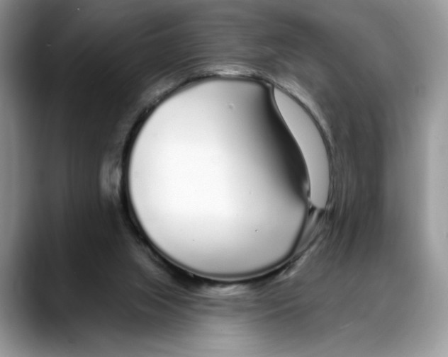 X0000088020063200706081449