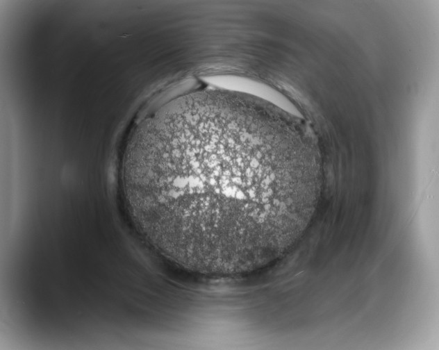X0000088020064200706081449