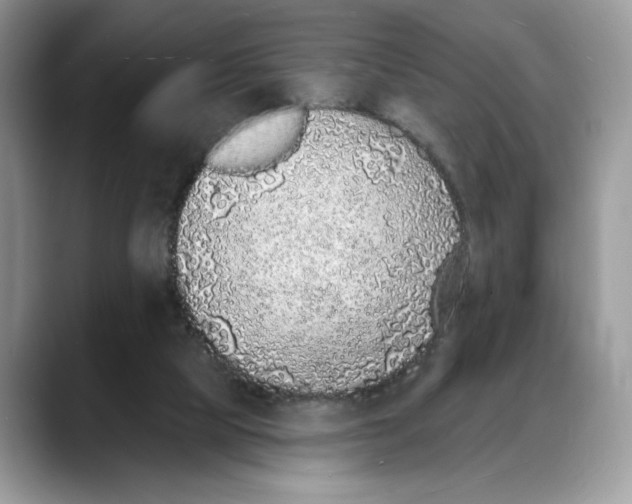 X0000088020065200706081449