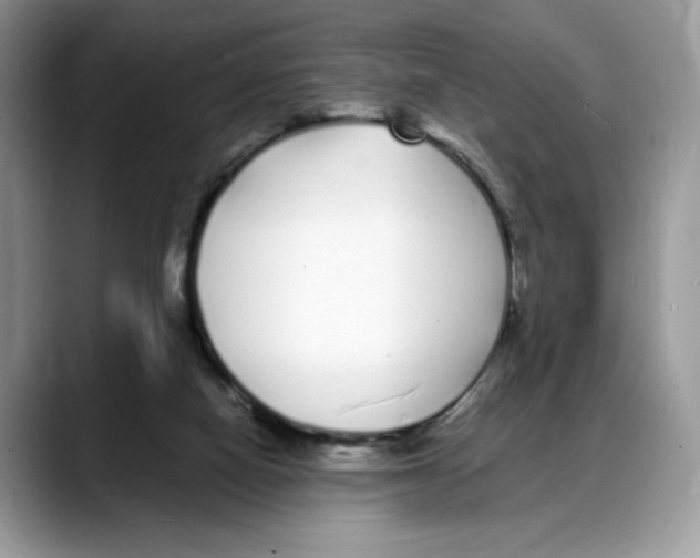 X0000088020066200706081449