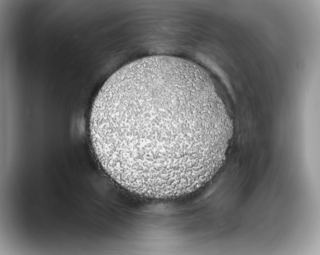 X0000088020067200706081449