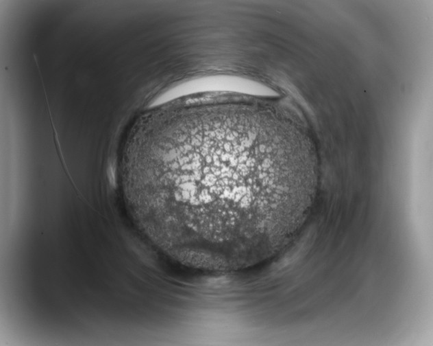 X0000088020068200706081450