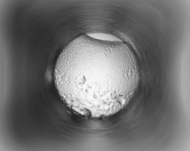 X0000088020069200706081450