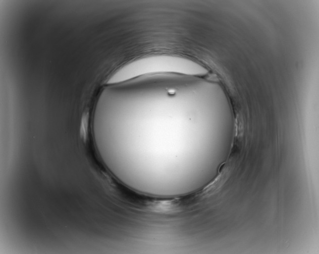 X0000088020070200706081450