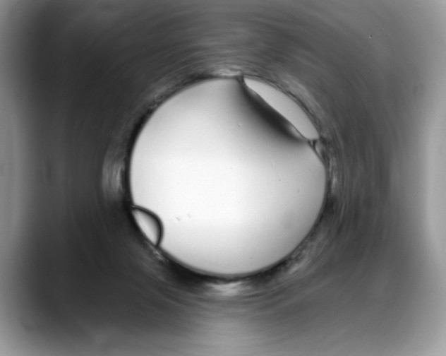X0000088020071200706081450