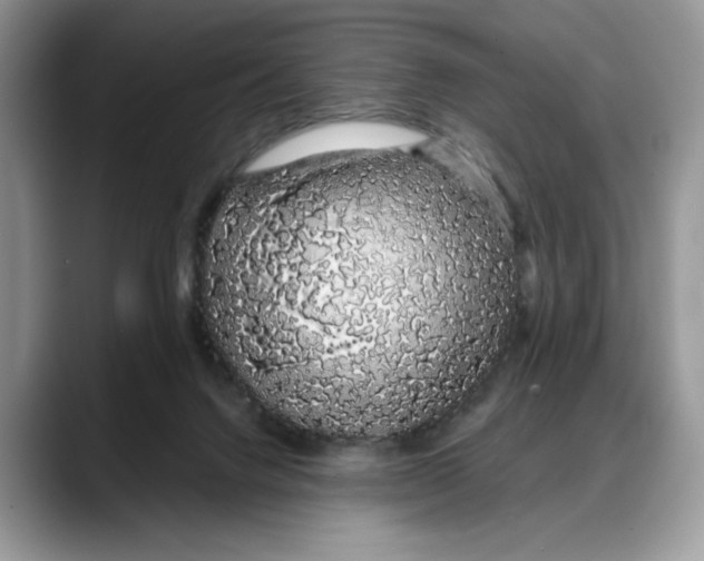 X0000088020072200706081450