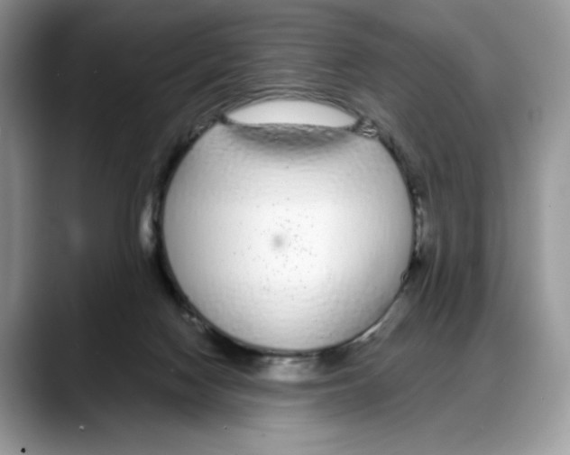 X0000088020074200706081450