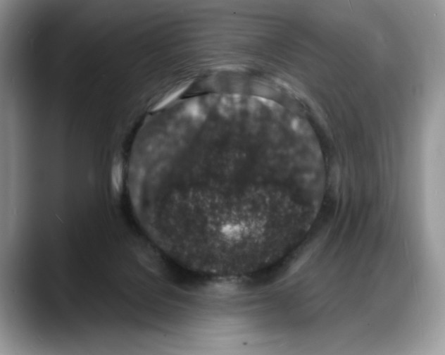 X0000088020076200706081450