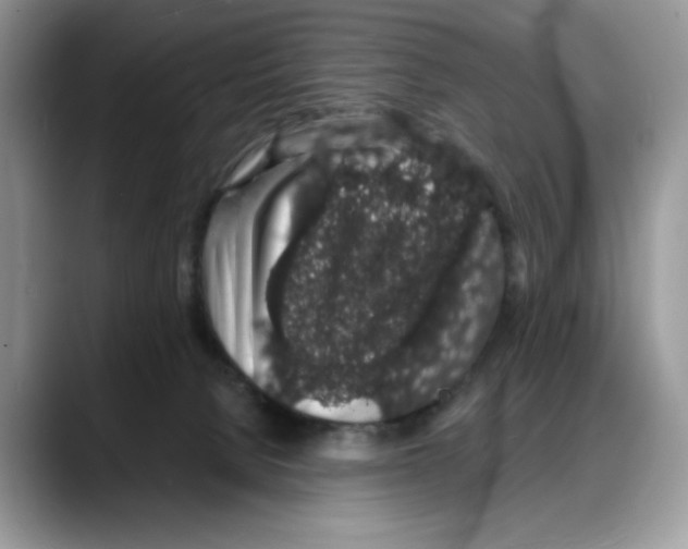 X0000088020080200706081450