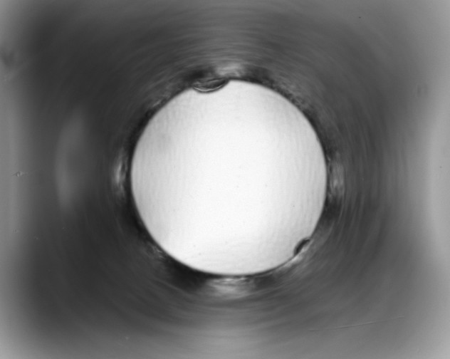 X0000088020082200706081450