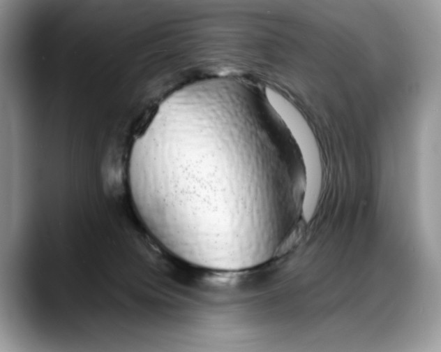 X0000088020084200706081450