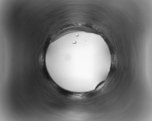 X0000088020086200706081450
