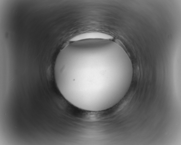 X0000088020088200706081450